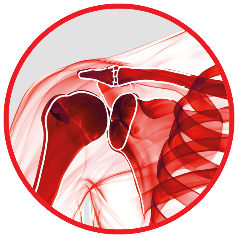 fisioterapia spalla rimini